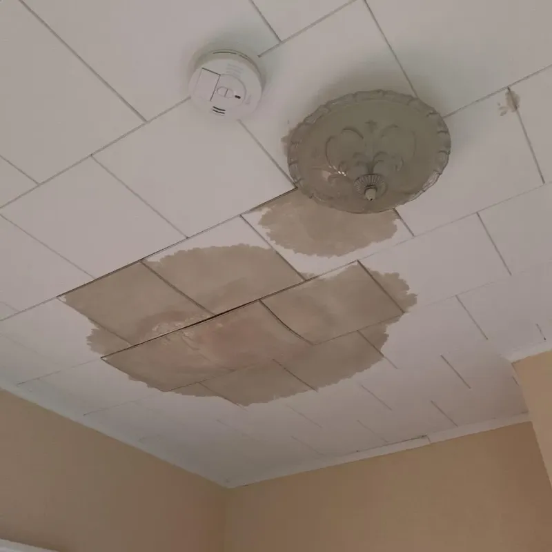 Ceiling Water Damage Repair in Huntsville, TX