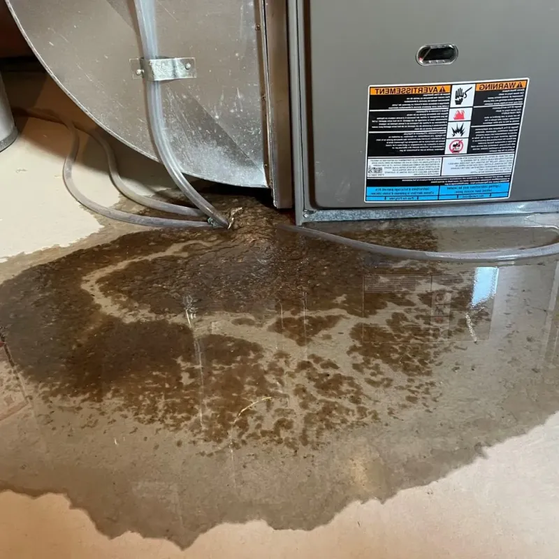 Pipe Burst and Leak Restoration in Huntsville, TX