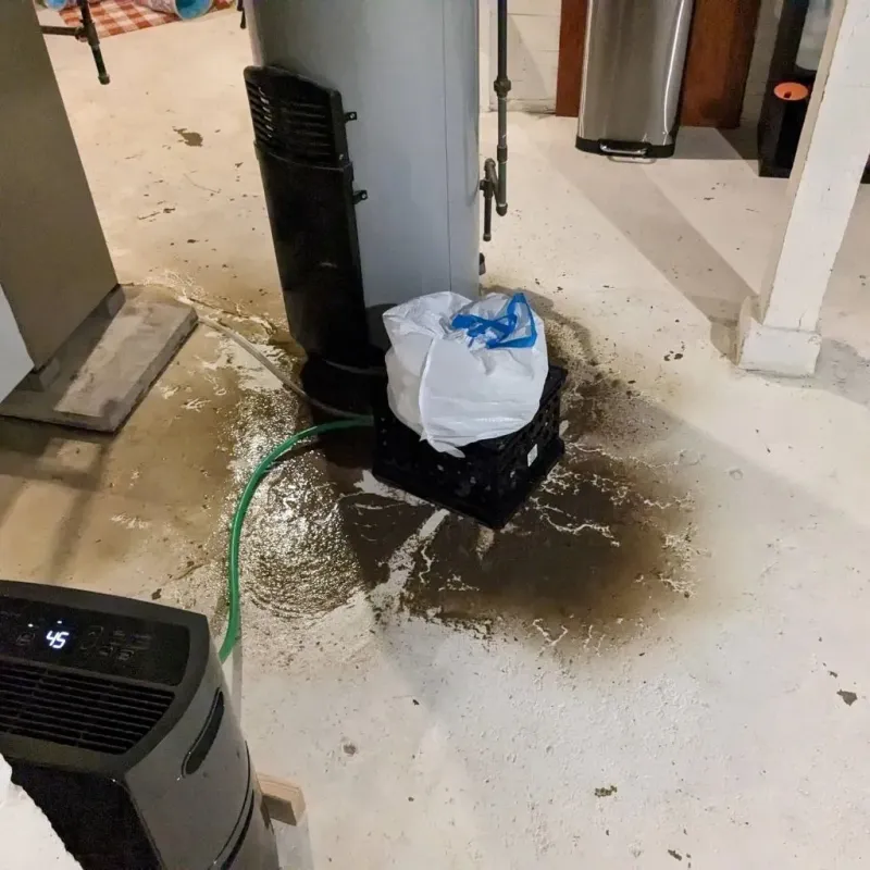 Sewage Backup Cleanup Service in Huntsville, TX
